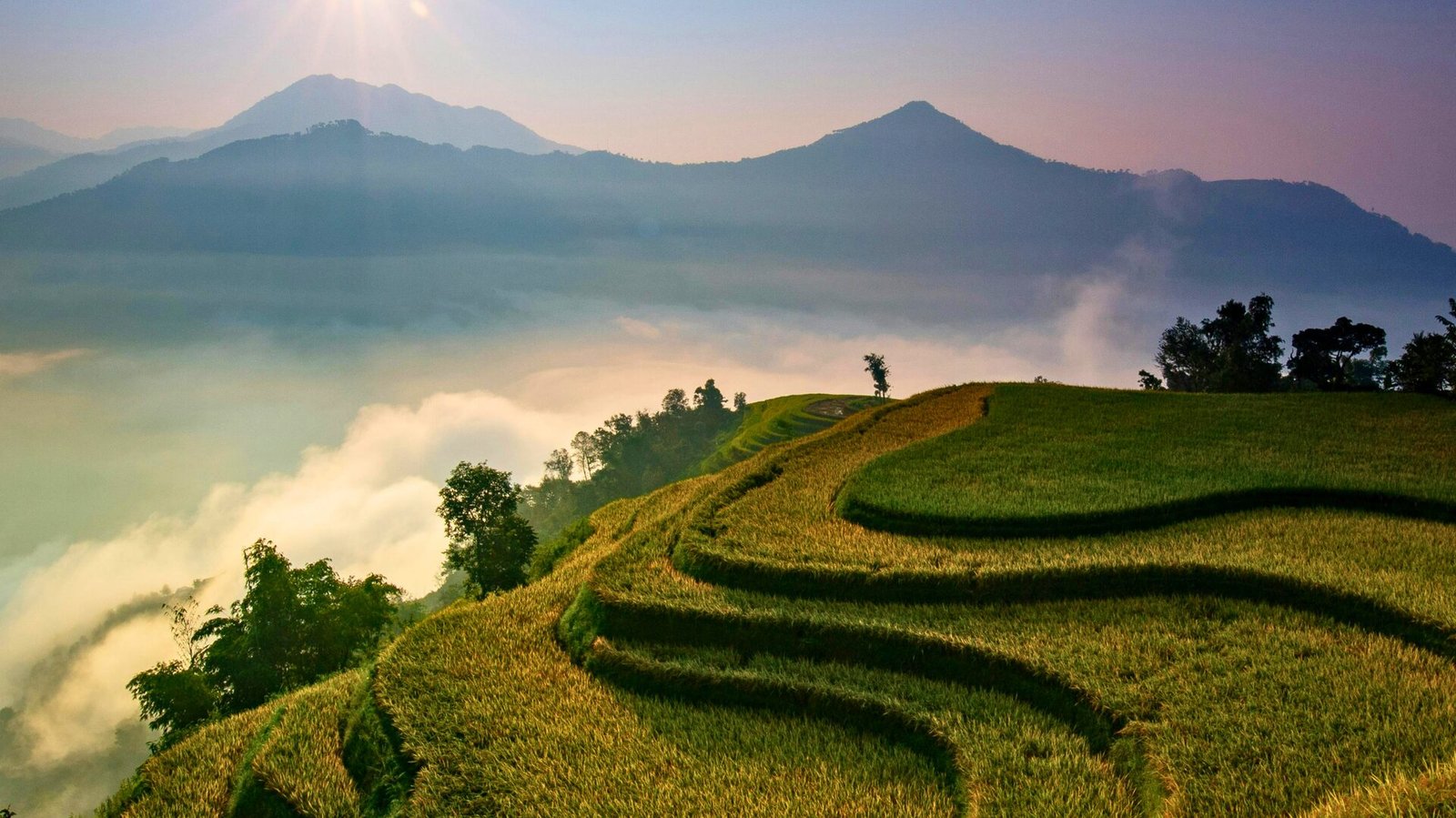 Terraços de arroz entre montanhas ao amanhecer